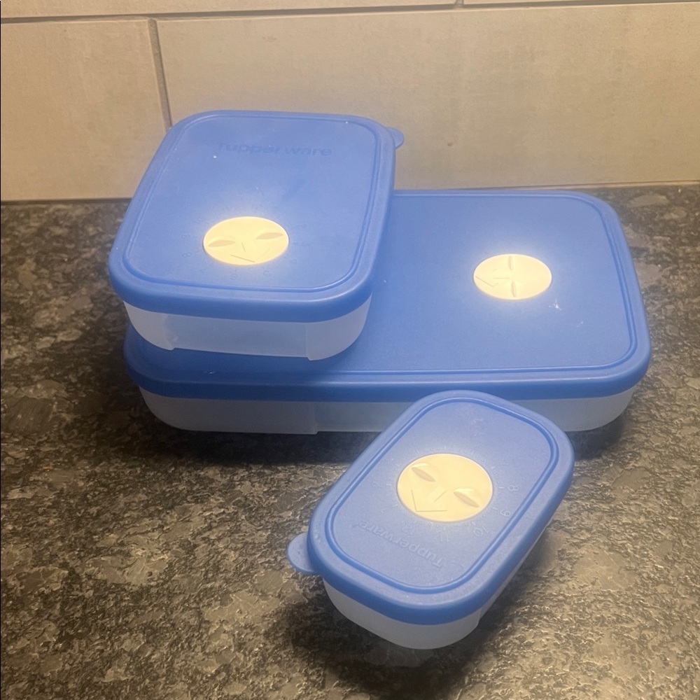 Tupperware Freezer Mates with dial to keep track of when you stored it. Stacking